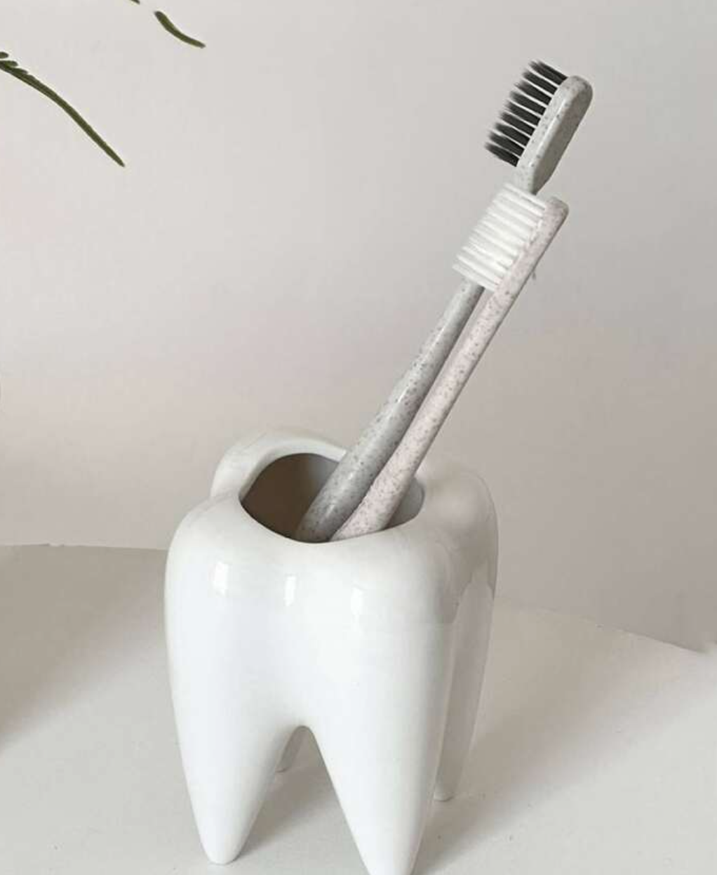 Tooth shaped toothbrush holder